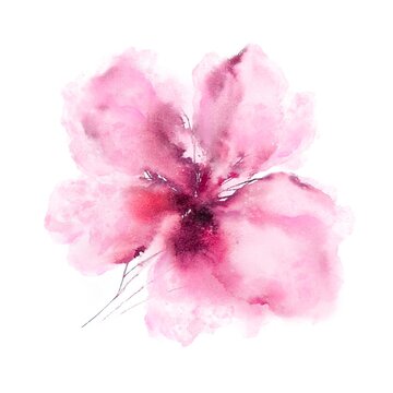 Pink watercolor flower for greeting card decor. Wedding invitation decorative element. Hand drawn delicate peony.
