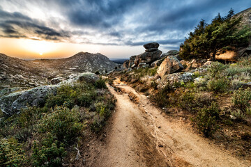 Pathway, cistus and rocks at Sierra Cabrera