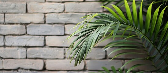 Fototapeta premium Close-up image of vivid green palm tree leaves on a branch, set against a grey brick wall, ideal as a wallpaper with copy space.