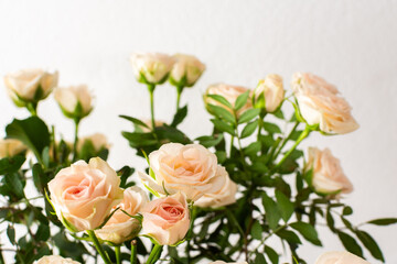 A bouquet of delicate cream roses close up, home decoration with flowers, a festive bouquet of roses for a birthday or wedding