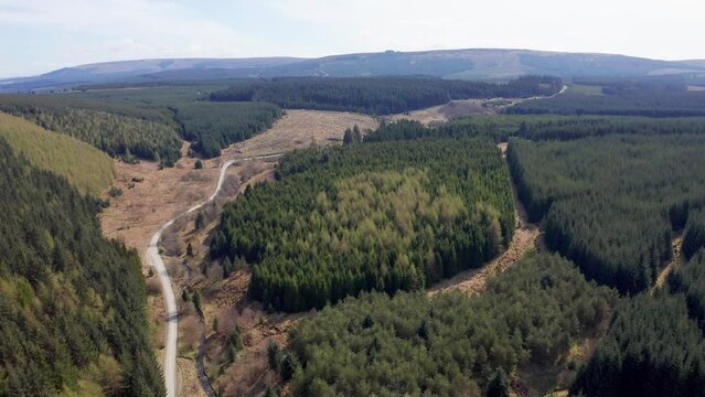 Aerial view of serene valley with remote forest and winding road, Wolfhopelee, Hawick, Scotland, United Kingdom.