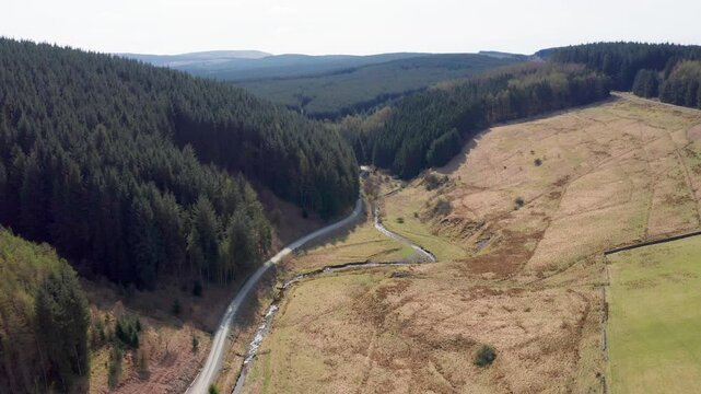 Aerial view of Wolfhopelee Valley surrounded by lush green forest and winding river, Hawick, Scotland.