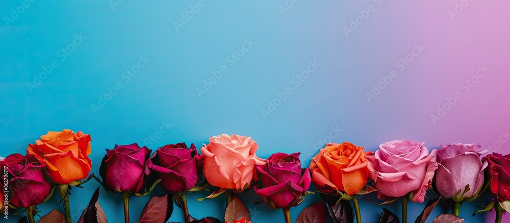 Aufkleber roses in vibrant hues on colorful backdrop with copy space image.