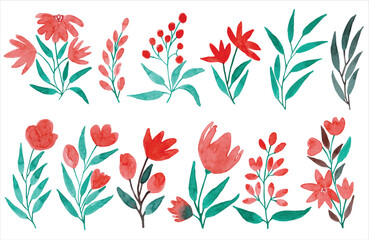 Watercolor set of floral green leaves elements. Flower red, green leaves. Floral poster, invite, wedding, postcards, greeting card or invitation design illustration isolated on white background