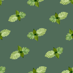 Mint leafs seamless pattern in watercolor on green background, high quality hand drawn for food design. Great for packages, textile, tablecloth, notebooks, wrapping paper and kitchen decor