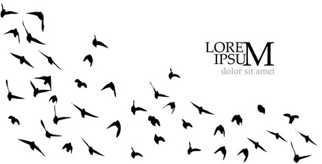 Flying birds silhouette flock. hand drawing. Not AI. Vector illustration