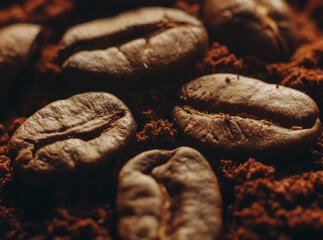 Roasted coffee beans lie in ground coffee.