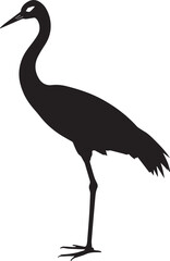 Obraz premium black crowned crane