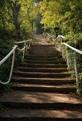 Staircase with Rope Railing in a Forested Area