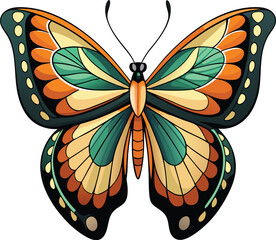 butterfly illustration