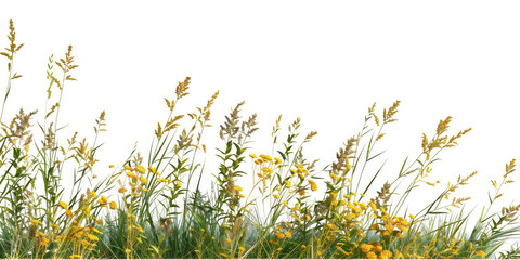 Realistic Photograph of Tall Wild Grasses with Yellow Flowers