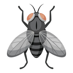 illustration of a gray fly on white