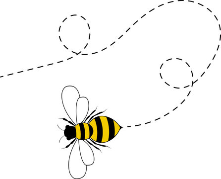 Bee flying path. A bee flying in a dotted line. The flight path of bee. Bee flying on a dotted route. Hand drawn bees. Vector illustration.