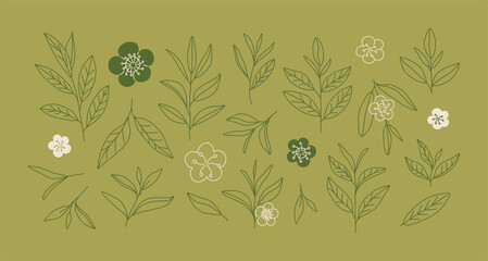 Linear hand-drawn tea leaves and flowers. Line art sketch of tea branches. Green and black tea. Logo, icon, doodle. Botanicals. Plant. Nature. 