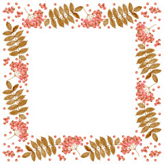 Autumn leaves and pink rowanberries. Watercolor illustration. Square frame. Sepia and pink illustration.