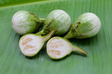 Thai green eggplant, fresh organic vegetables
