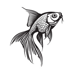 Gold fish vector image. illustration of a Gold fish on white background