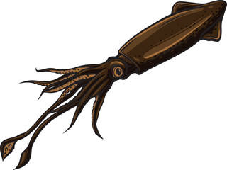 Sea squid. Cartoon calamari animal character, aquatic fauna creature flat vector illustration