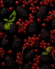 Close up of blackberries, red currant and green basil leaves
