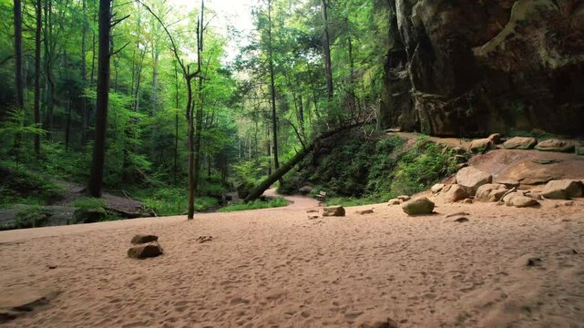 Hocking Hills Ash Cave Aerial Forest Hiking Trail Scenic View