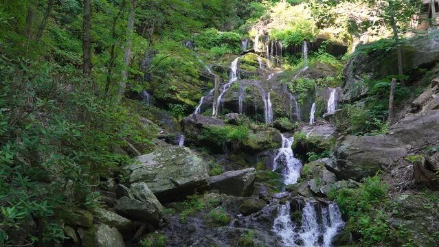 Close-up of Catawba Falls with water cascading over moss-covered rocks, surrounded by lush greenery and plants.