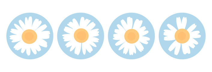 Daisy flower on circle blue signs isolated on white background vector. Floral wall art decoration.