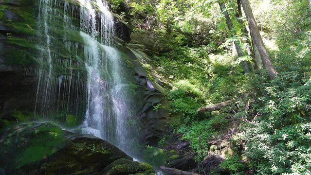 Close-up of Catawba Falls with water cascading over moss-covered rocks, surrounded by lush greenery and plants.