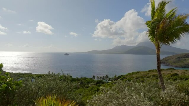 Aerial view of tropical coast with lush vegetation and serene ocean, Frigate Bay, St Kitts and Nevis.
