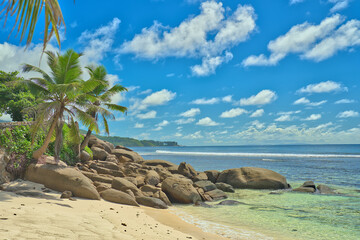 Anse Parnel beach, blue sky turquoise water, low tide sunny day, white sandy beach, coconut palm trees, Mahe, Seychelles