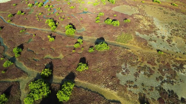 Aerial view of Wellington Point, Geoff Skinner Wetlands, Abstract, Brisbane, Queensland, Australia.
