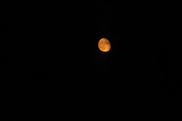 View of the red moon from the window of a moving train