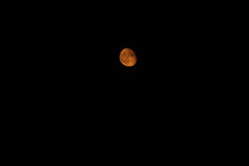View of the red moon from the window of a moving train