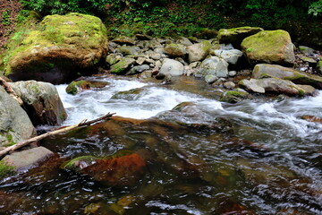 Mountain stream in the forest with rocks and moss