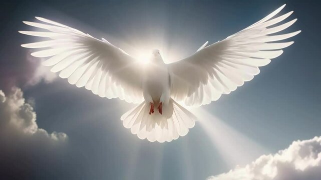 Winged Dove as the Holy Spirit in the New Testament