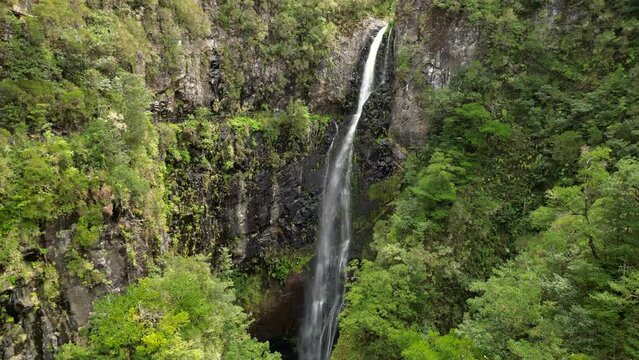 Aerial view of lush forest and waterfall at Levada do Seixal, Madeira, Portugal.