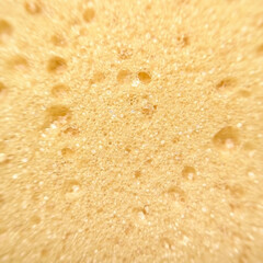 texture of the yellow kitchen sponge background