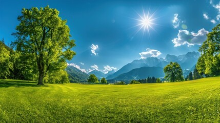 Sunny Day in the Mountains