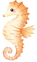 Watercolor Hand drawn illustration underwater animals cute seahorse marine wild life children clip art for textile, decoration, posters, inviation, greeting cards © blumensdiary