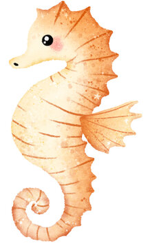 Watercolor Hand drawn illustration underwater animals cute seahorse marine wild life children clip art for textile, decoration, posters, inviation, greeting cards