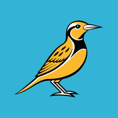 vector illustration of a bird