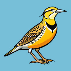 vector illustration of a bird