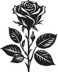 Rose flower Silhouette vector illustration