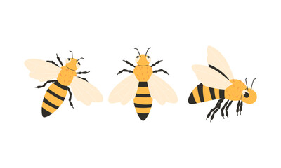 Set of cartoon bees in flat style