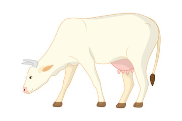 Vector illustration of white cow on transparent background