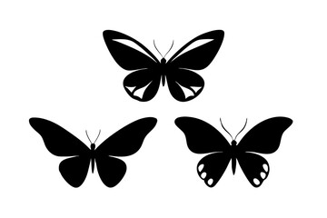 Obraz premium set of Butterflies silhouette on white background