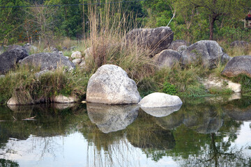 big stone in pond with green grass near palampur city himachal pradesh india 2