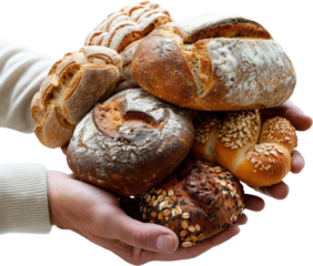 A variety of freshly baked bread loaves held in hands, showcasing the deliciousness and craftsmanship of baking.