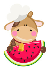 Cow cook holding slice of fresh watermelon