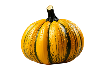 Acorn squash Isolated on transparent background