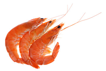Crevettes cuites en gros plan sur fond blanc